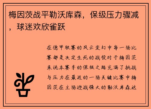 梅因茨战平勒沃库森,保级压力骤减,球迷欢欣雀跃